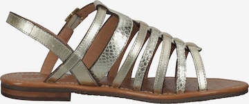 GEOX Sandalen met riem in Goud