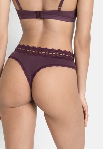 Tanga de la s.Oliver pe mov