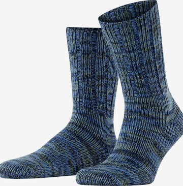 FALKE Socks 'Brooklyn' in Blue: front