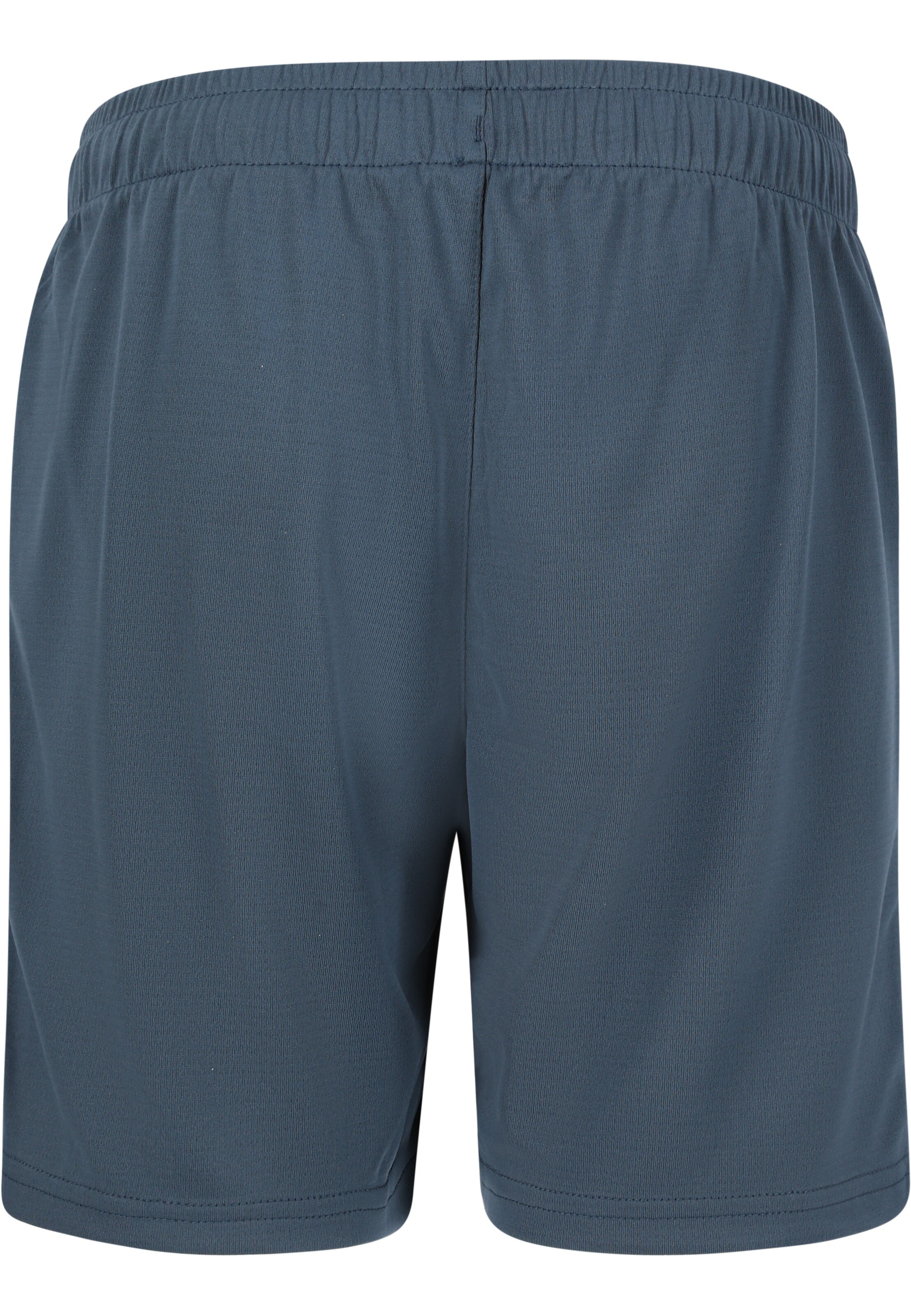 ENDURANCE Regular Sportbroek 'Sesto Jr.' in Blauw