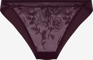 purpurinė Hunkemöller Moteriškos kelnaitės: priekis