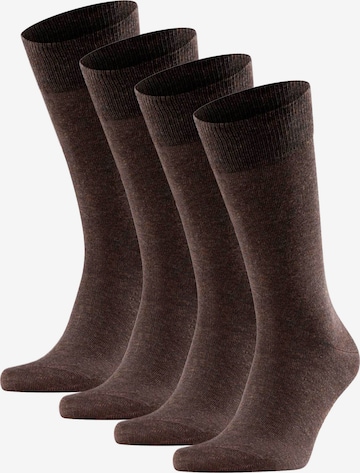 Chaussettes FALKE en marron : devant