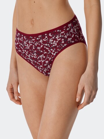 SCHIESSER Panty in Mixed colors: front