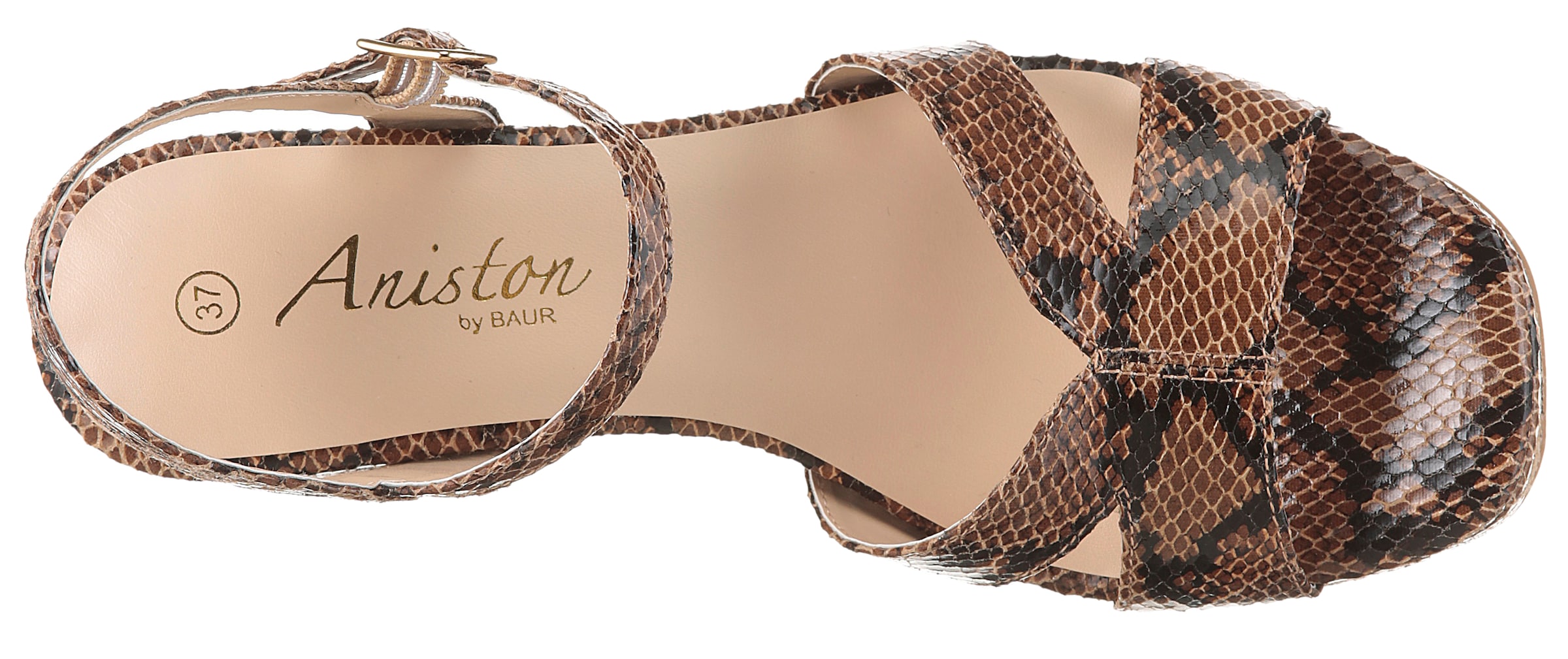 Aniston Pumps in Braun