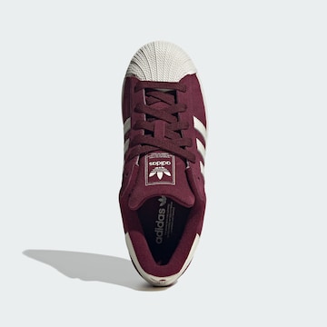 ADIDAS ORIGINALS Sneaker 'Superstar' in Rot