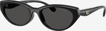 Lunettes de soleil 'CDP42' COACH en noir : devant