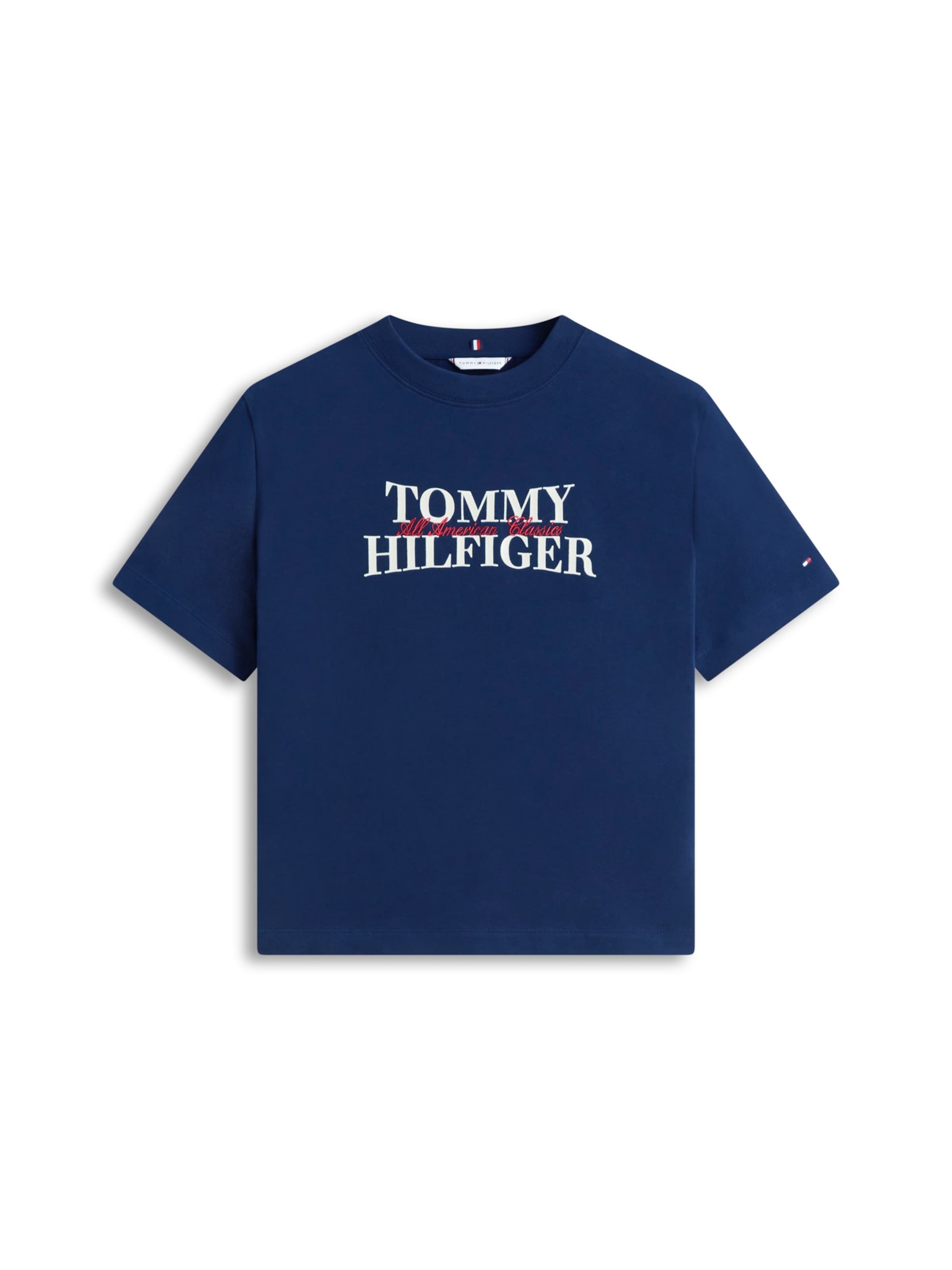 TOMMY HILFIGER Särk 'CLASSIC', värv sinine: eest vaates