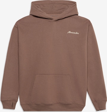 Abercrombie & Fitch Bluza 'SADDLE UP' w kolorze brązowy: przód