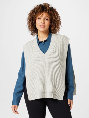 DRYKORN Pullover 'NIAM' in Grau: predná strana