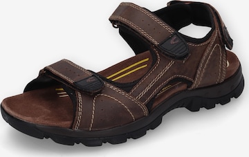 CAMEL ACTIVE Trekkingsandale in Braun: Vorderseite