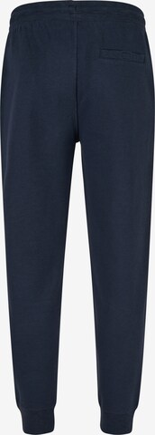 HECHTER PARIS Tapered Hose in Blau