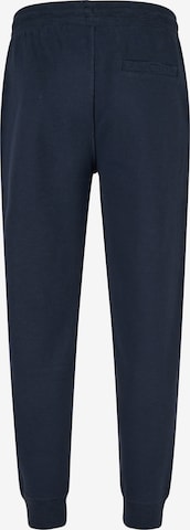 HECHTER PARIS Tapered Pants in Blue