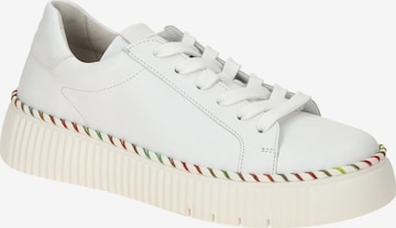 GABOR Lace-Up Shoes in White: front