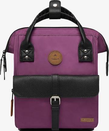 Cabaia Backpack in Purple: front