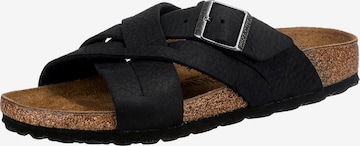 BIRKENSTOCK Mules in Black: front