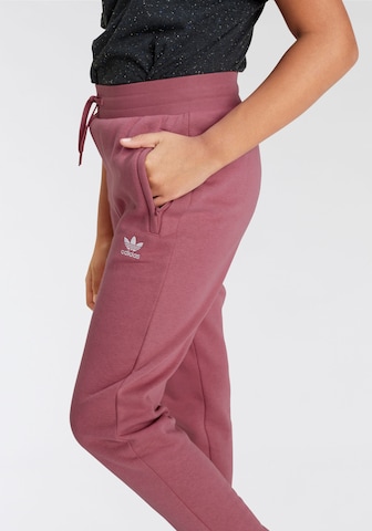 Tapered Pantaloni 'Adicolor' di ADIDAS ORIGINALS in rosa