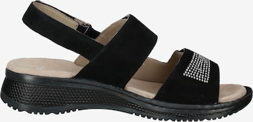 ARA Sandals in Black