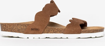 Bayton Mules 'Wannero' in Brown