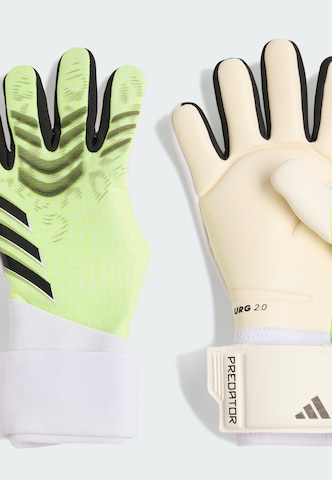 ADIDAS PERFORMANCE Sporthandschoenen 'Predator Pro' in Groen