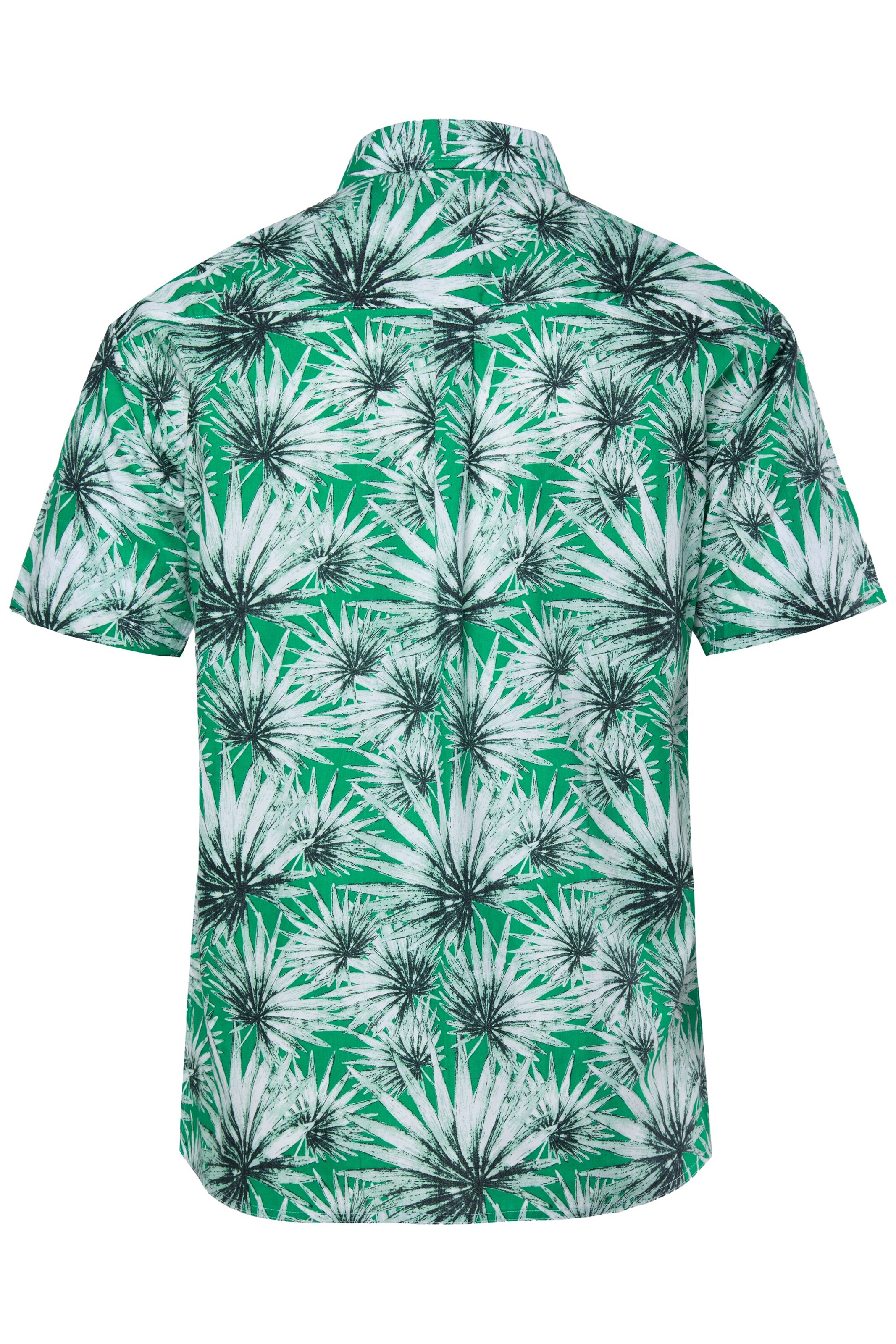 Men Plus Comfort fit Overhemd in Groen