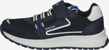 Baskets GEOX en bleu