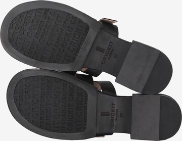 Crickit Strap Sandals ' ODETTE ' in Black