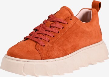 Apple of Eden Sneaker 'LIZO' in Braun: predná strana