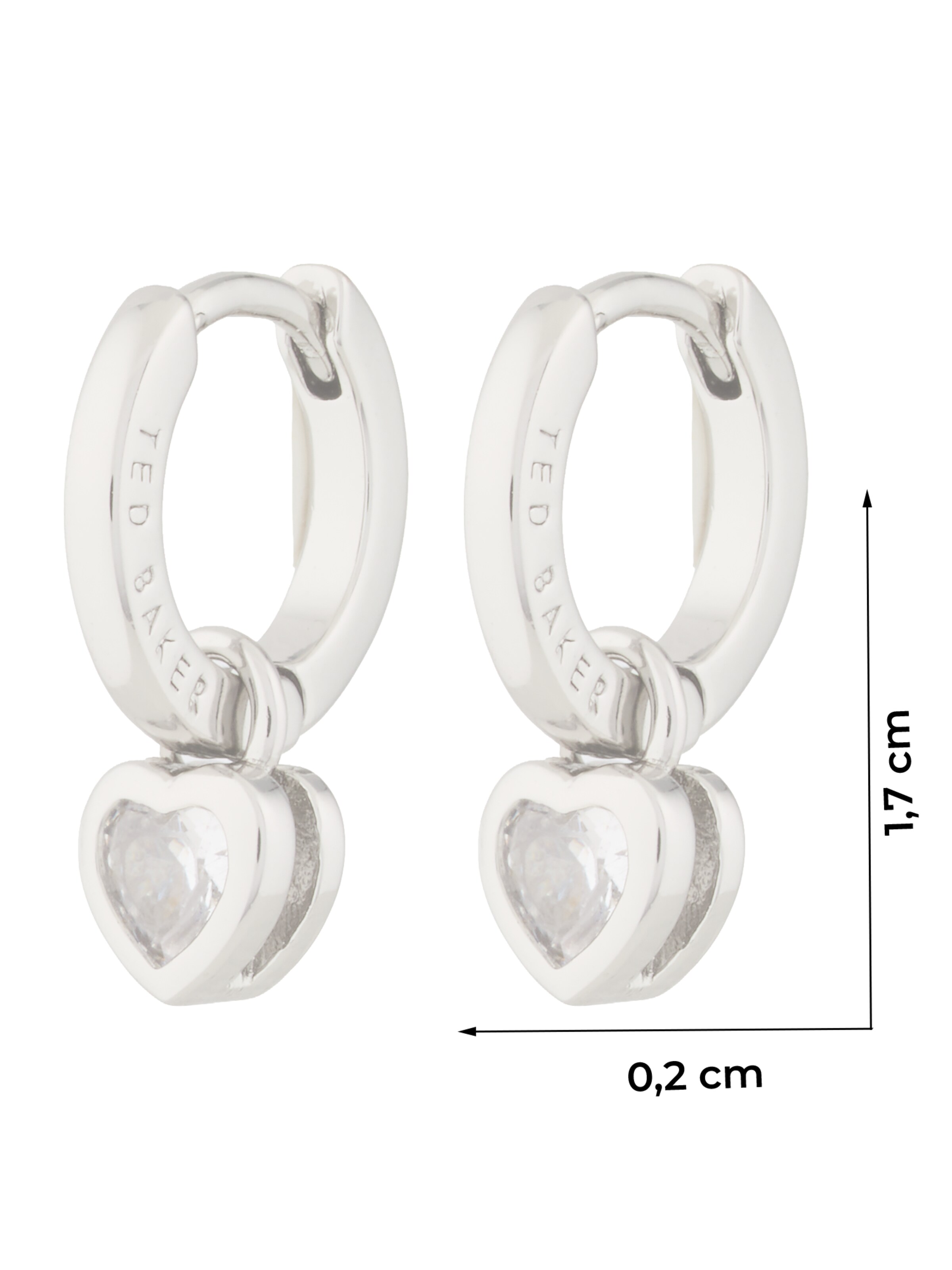 Ted Baker Oorbellen 'HARPER' in Zilver