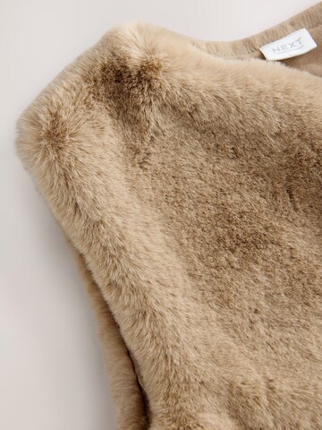 Gilet di Next in marrone