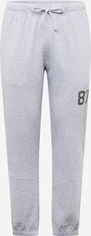 AÉROPOSTALE Tapered Sportbroek in Grijs: voorkant