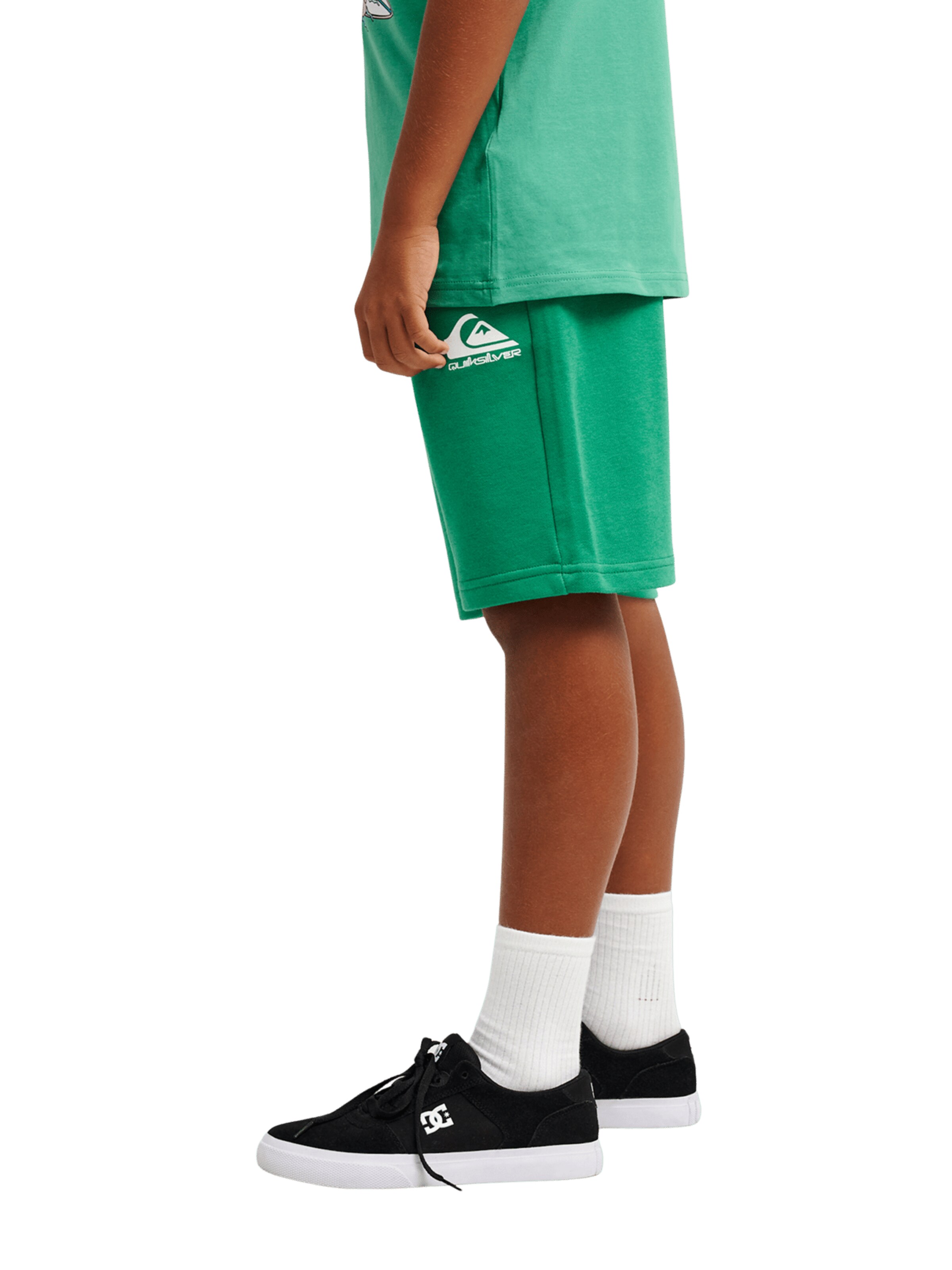 QUIKSILVER Regular Pants ' Easy Day ' in Green