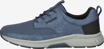 bugatti Sneakers laag in Blauw