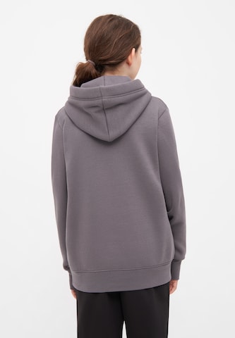 BENCH Sweatshirt in Braun