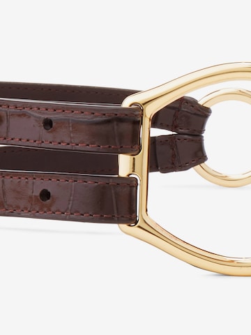 Lauren Ralph Lauren Belt in Brown