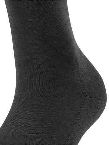 FALKE Knee High Socks 'ClimaWool' in Grey