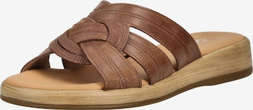 Mule GABOR en marron : devant