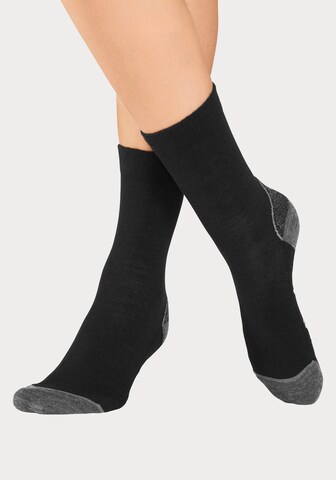 BENCH Athletic Socks in Black