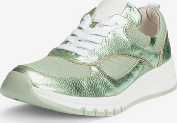 Sneaker bassa di VITAFORM in verde: frontale