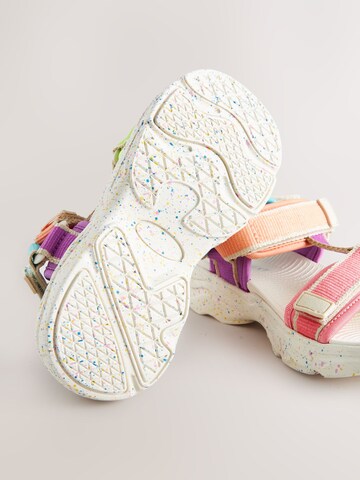 Sandalo di Next in colori misti