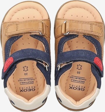 GEOX Sandals & Slippers in Brown