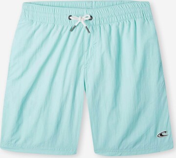 Shorts de bain 'Vert' O'NEILL en bleu : devant