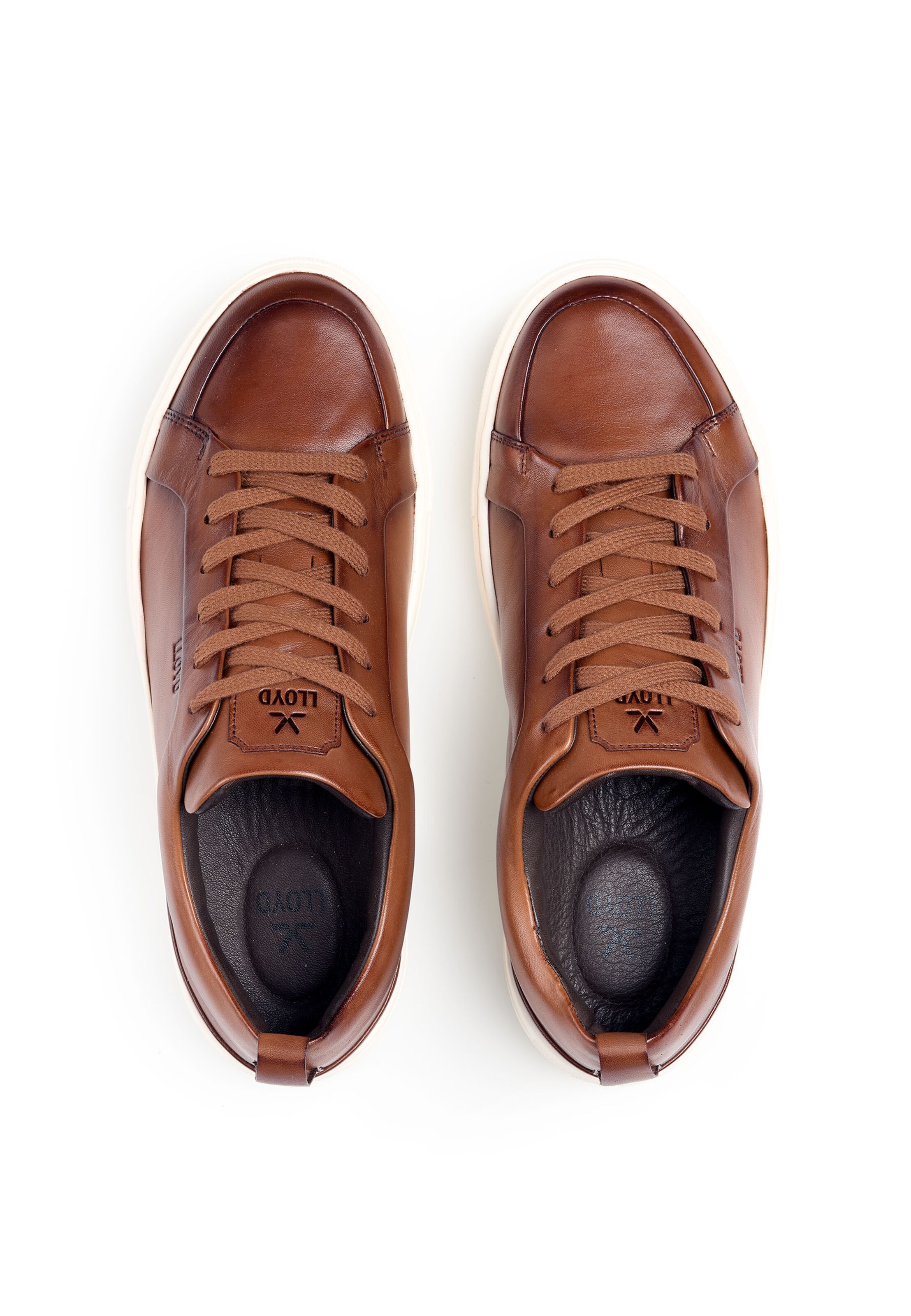 Baskets basses 'Metro' LLOYD en marron