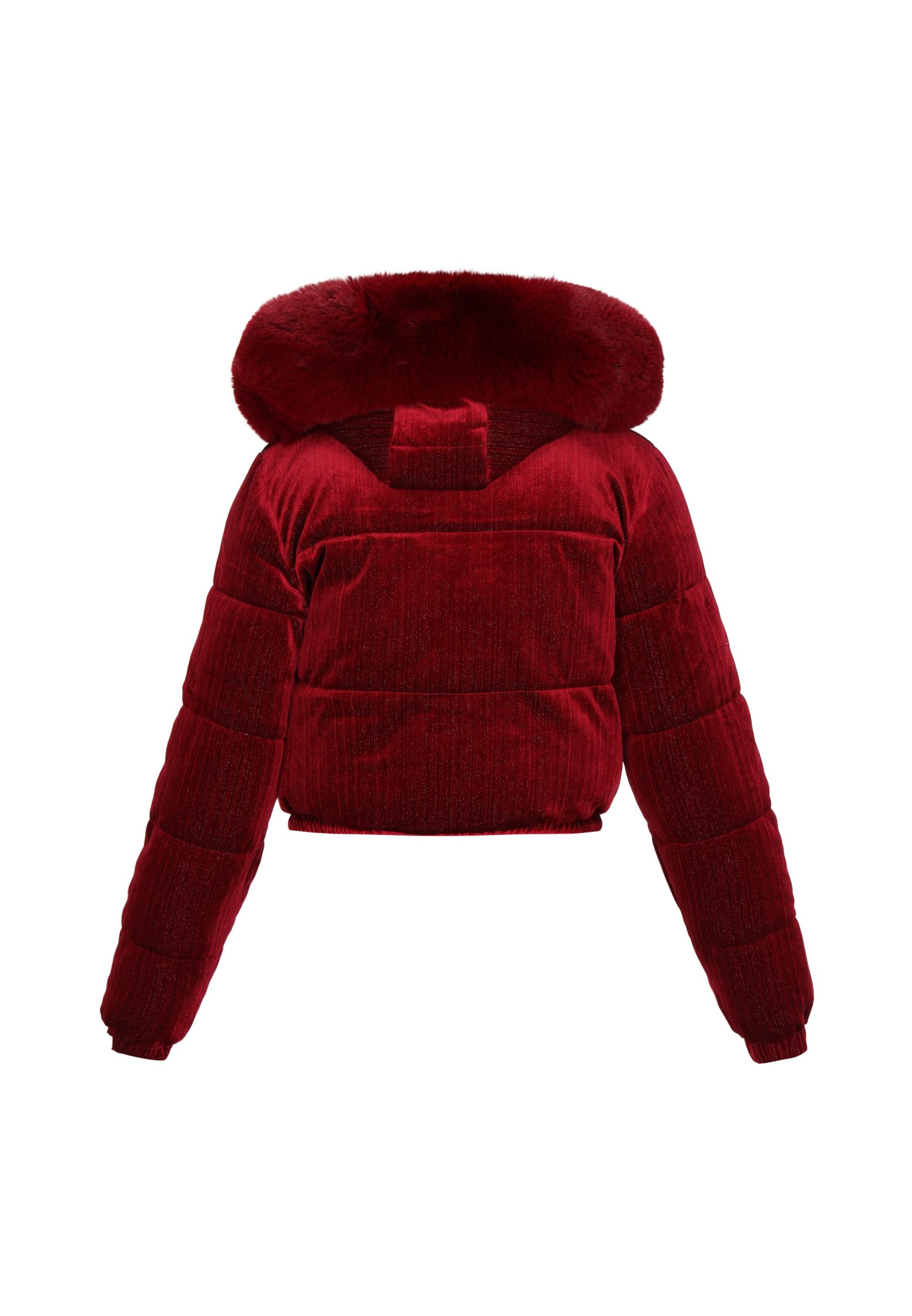Veste d’hiver 'At Night' CHUBBA en rouge