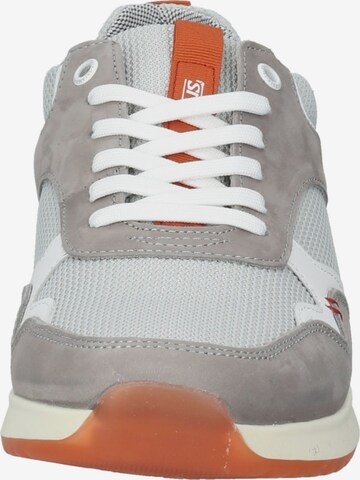 SALAMANDER Sneakers in Grey