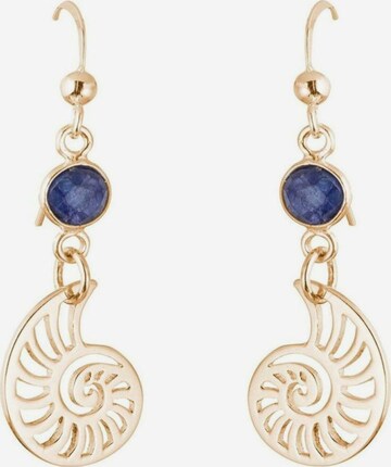 Gemshine Earrings in Gold: front