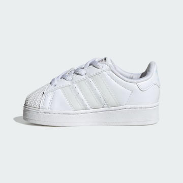 ADIDAS ORIGINALS Сникърси 'Superstar' в бяло