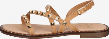 SANSIBAR Strap Sandals in Brown