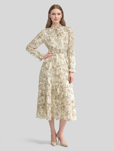 LapaPlus Robe 'Women Dress' en 38 en marron, Vue avec produit