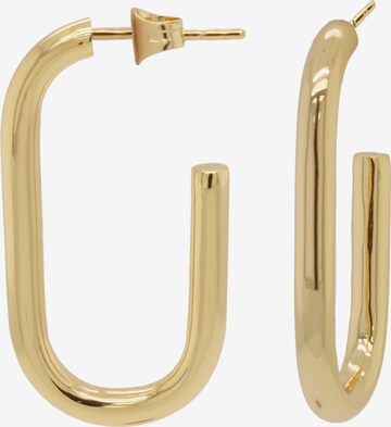 24Kae Earrings in Gold