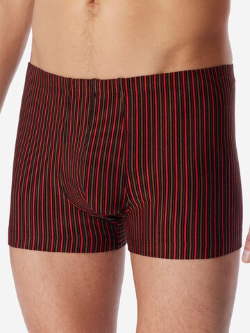 SCHIESSER Trunk ' 955 Essentials ' in Grau: Vorderseite